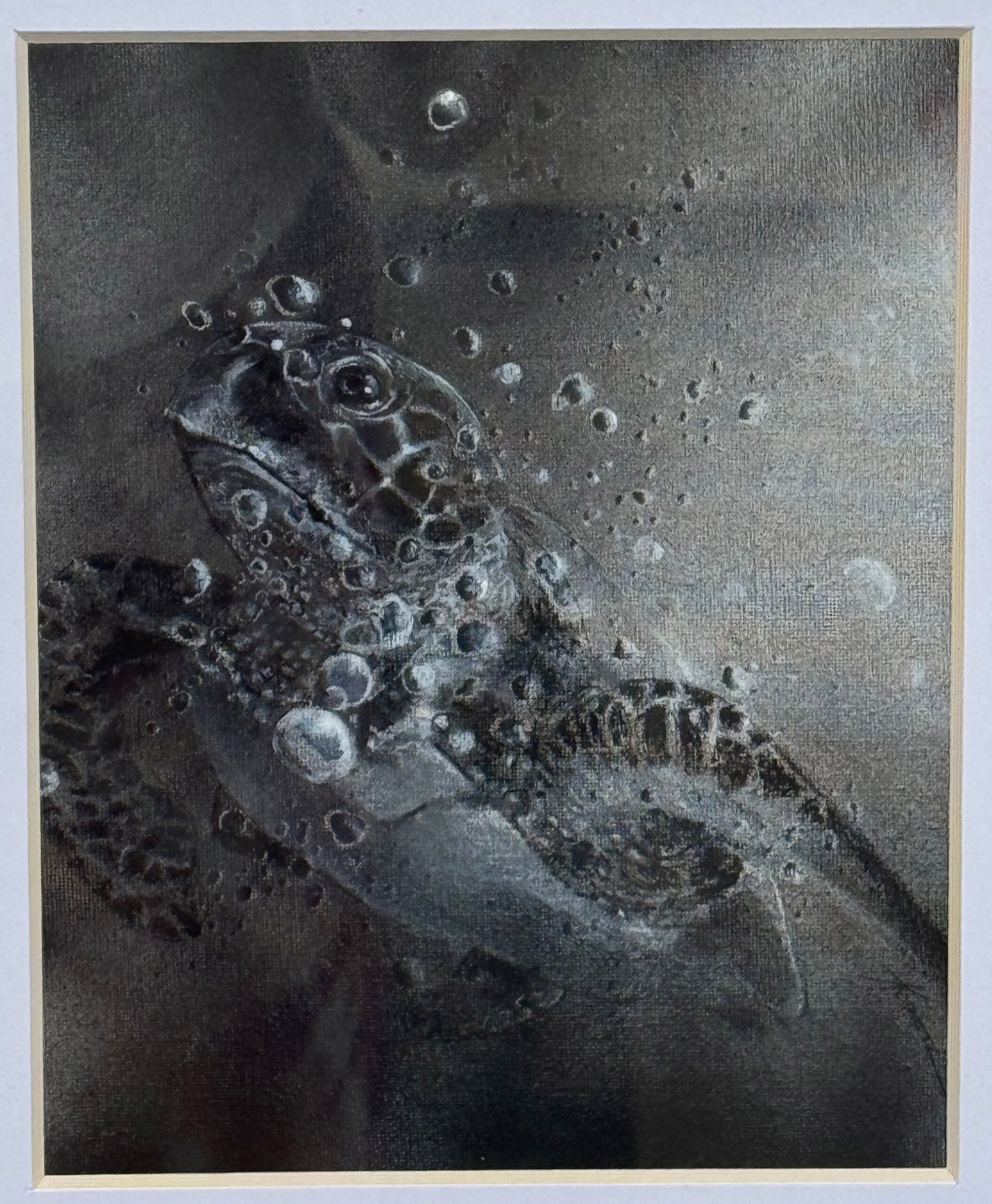 Image gallery image